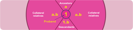 A Knot System Kin Group